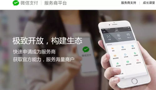 江苏中理网络科技 服务商定位、准入路径与网络技术服务解析