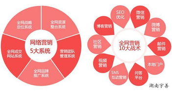 探索湖南网络广告多样形态与专业咨询服务 聚焦宇善传媒技术服务